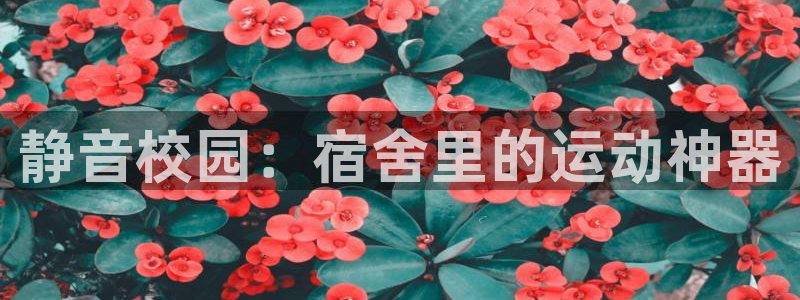 fb体育招商电话号码查询:静音校园:宿舍里的运动神器