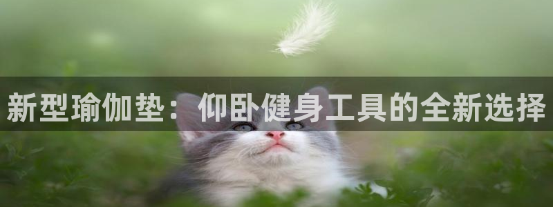 fb体育平台APP:新型瑜伽垫:仰卧健身工具的全新选择